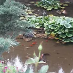 τζιβαέρι