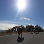 τζιβαέρι Πανσιόν 3*