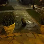 τζιβαέρι Πανσιόν Λυκοδρόμιο