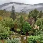 Πανσιόν τζιβαέρι Λυκοδρόμιο