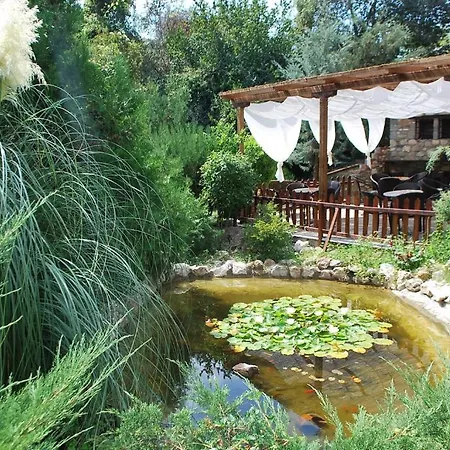 Guest house Tzivaeri