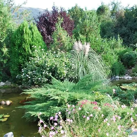 Guest house Tzivaeri 3*