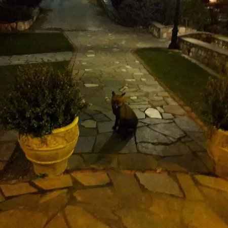 Tzivaeri بيت ضيافة Likodhrómion