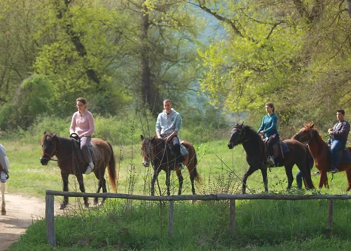 Casa de hóspedes Tzivaeri 3*