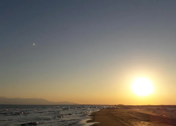 Tzivaeri Likodhrómion