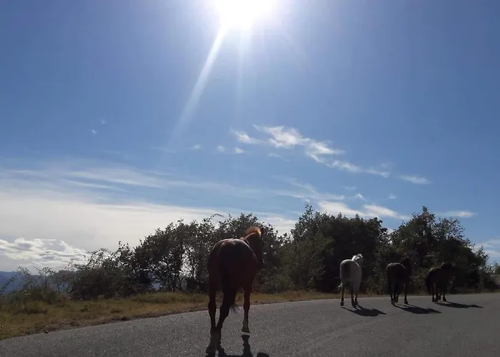 Tzivaeri Casa de hóspedes 3*