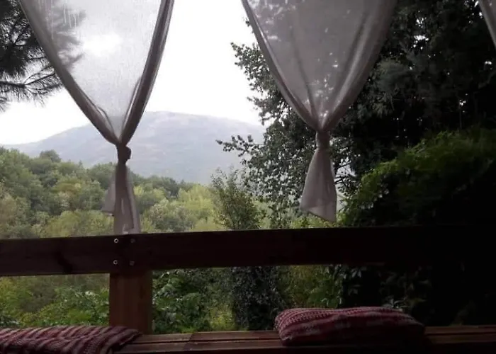 Tzivaeri Likodhrómion